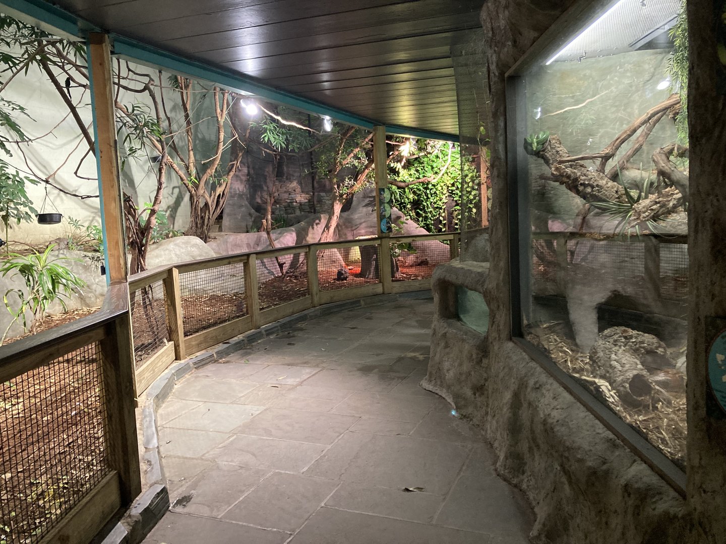 Rainforest Walkthrough Aviary View 2