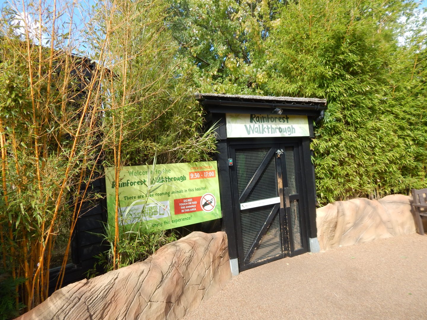 Rainforest Walkthrough entrance 110925