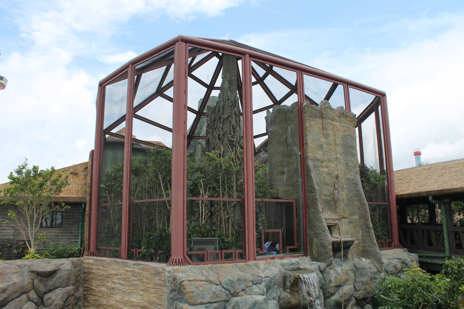 Rainforest walkthrough - June 2013