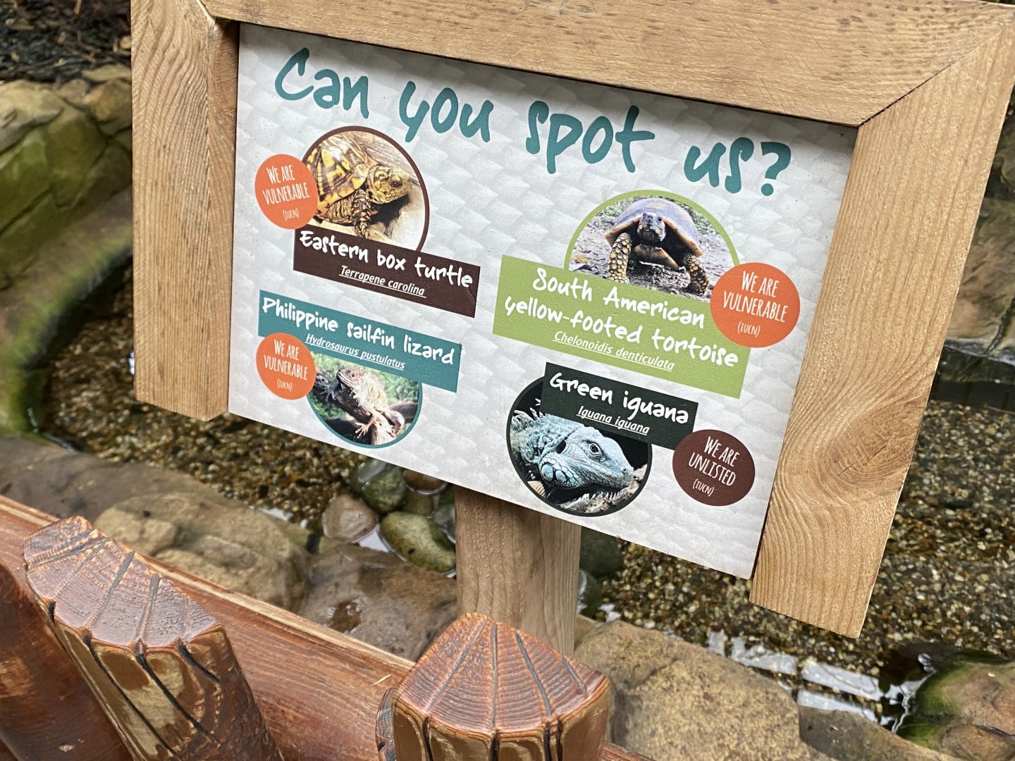 Rainforest Walkthrough -reptile area inhabitants140921