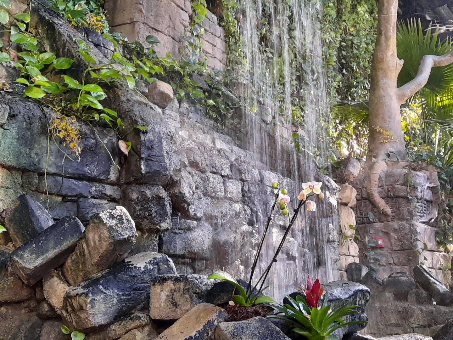 RainForest Waterfall