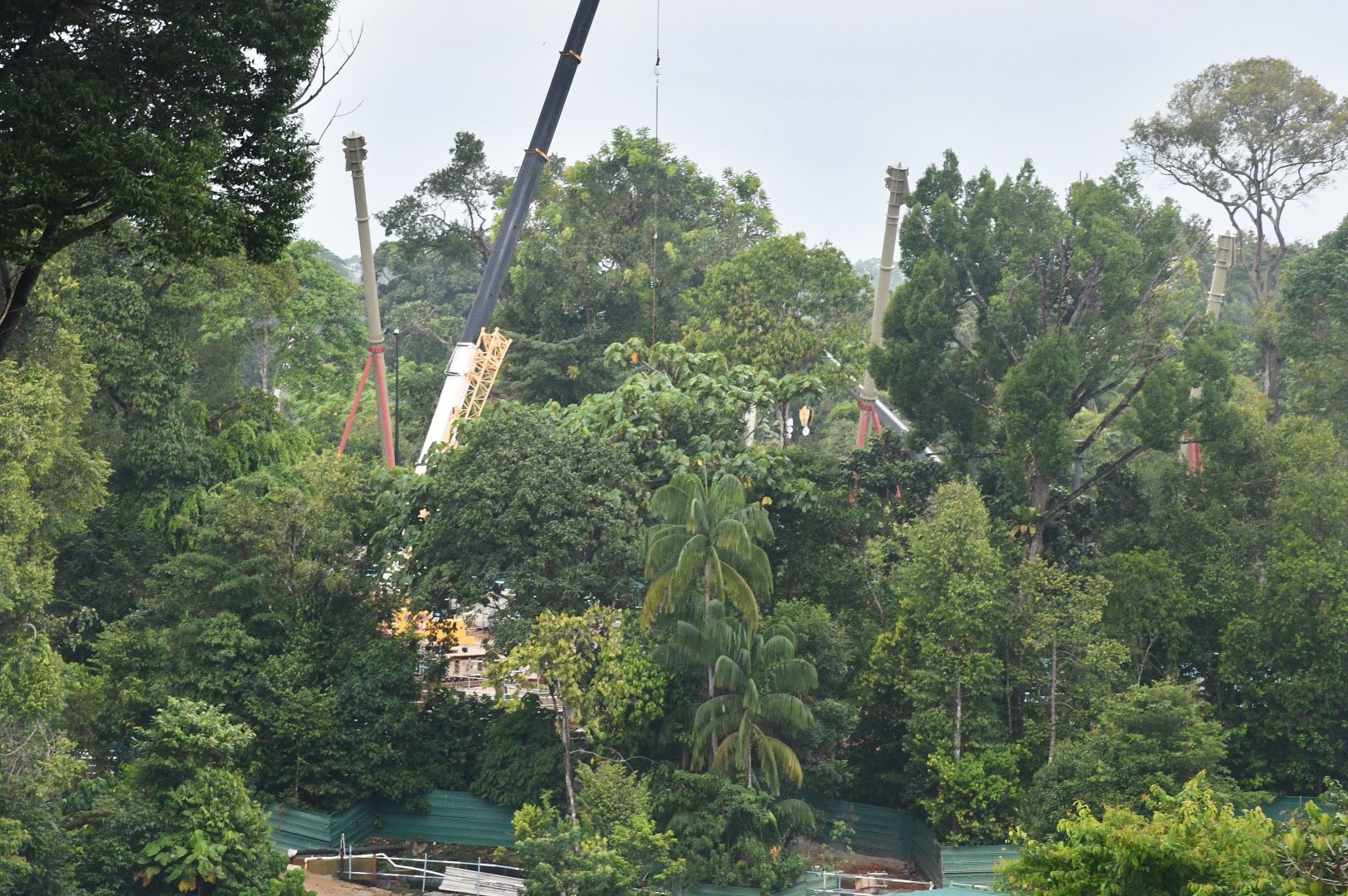 Rainforest Wild Africa - Lemur Land (under construction)