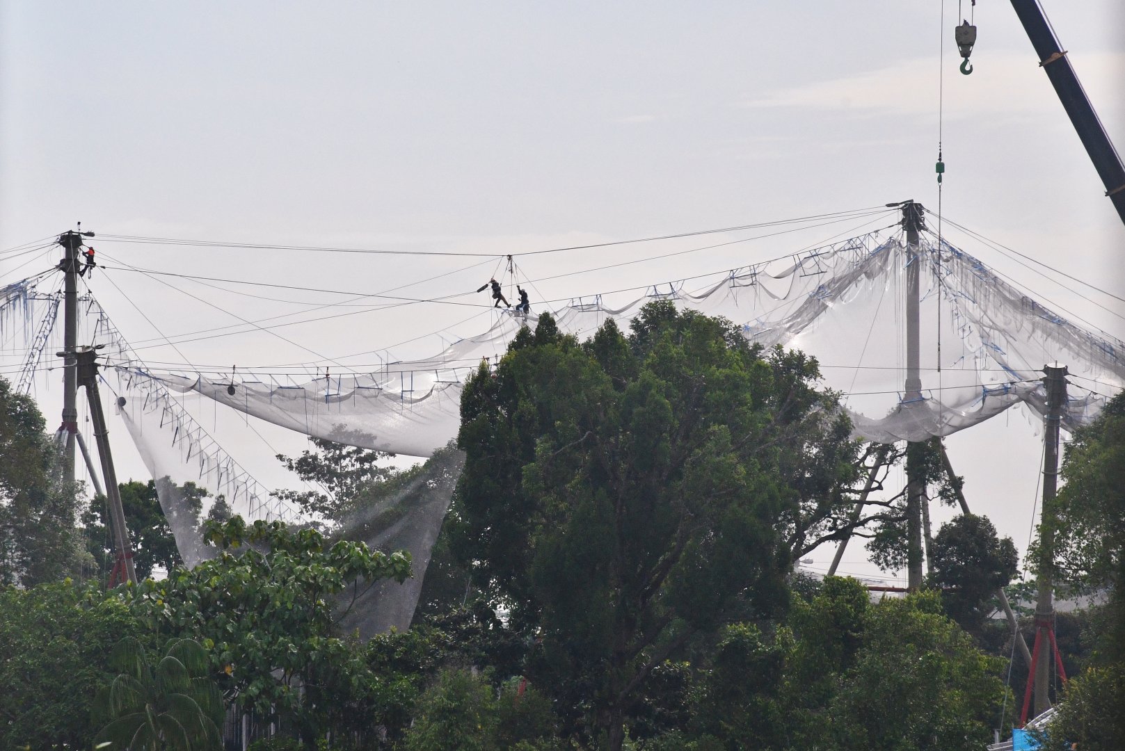 Rainforest Wild Africa - Lemur Land (under construction)