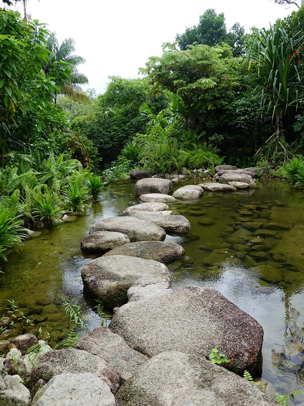 Rainforest Wild Asia : adventure trail