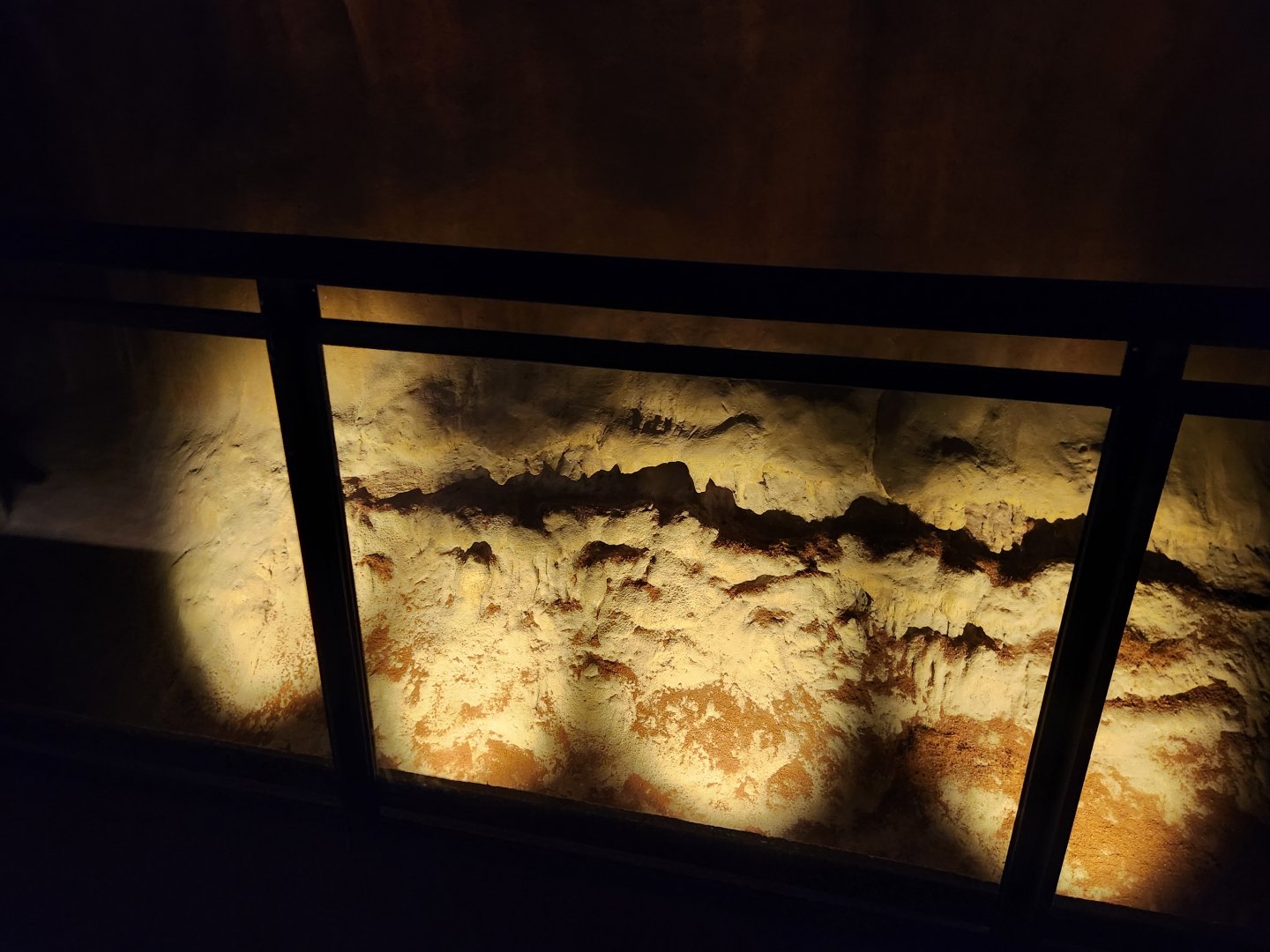 Rainforest Wild Asia- Asian Forest scorpion