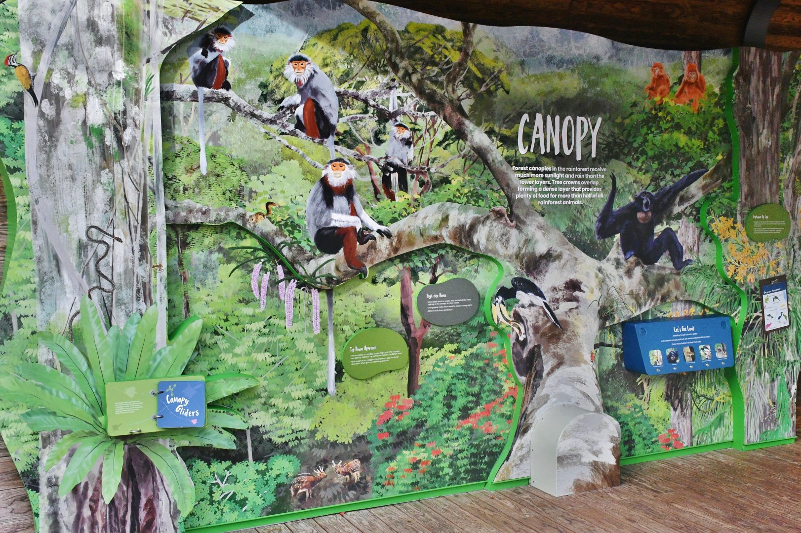 Rainforest Wild Asia - Canopy Zone interpretive