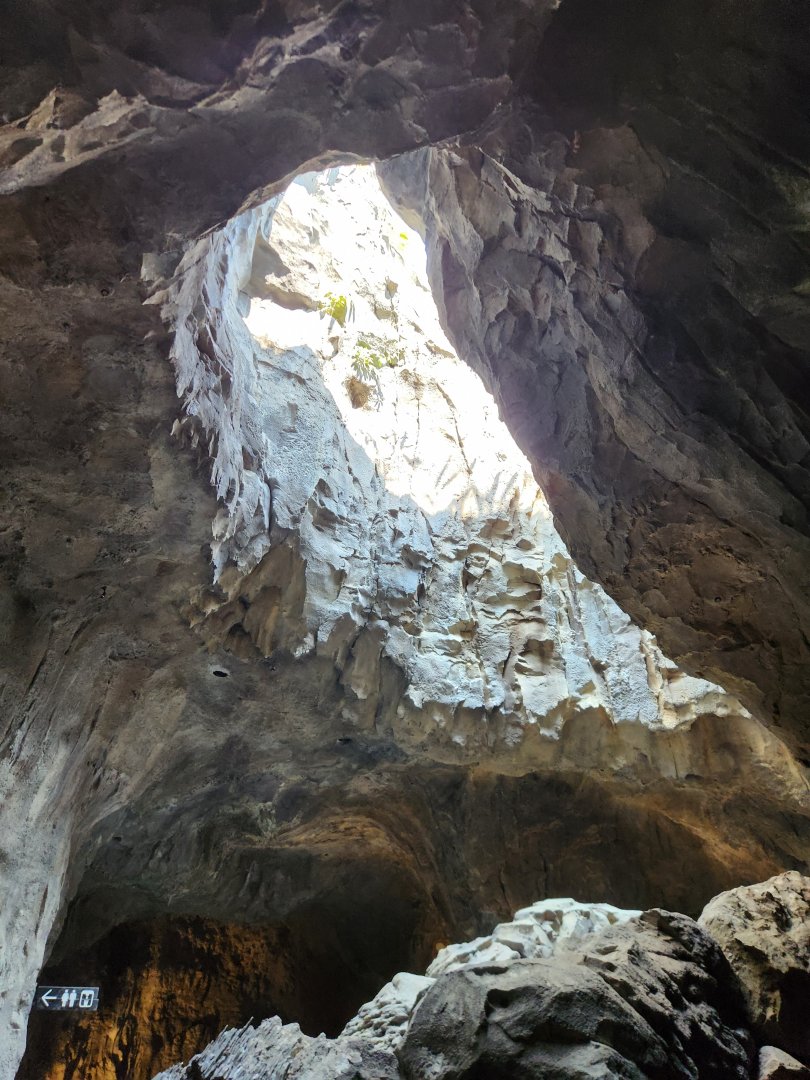 Rainforest Wild Asia- Cavern exit