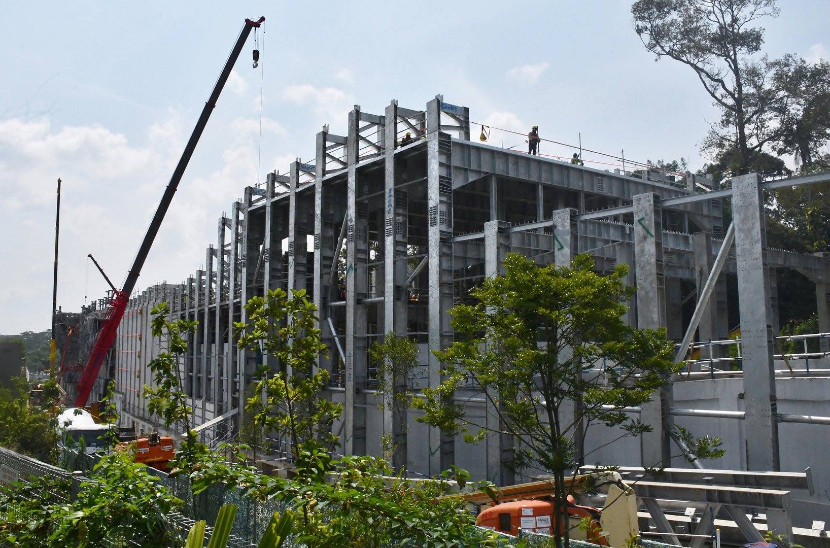 Rainforest Wild Asia - Cavern (under construction)