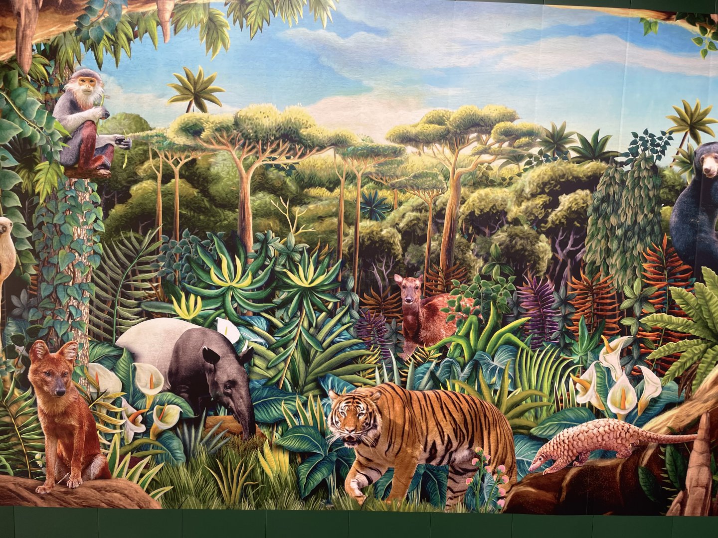 Rainforest Wild Asia Construction wall