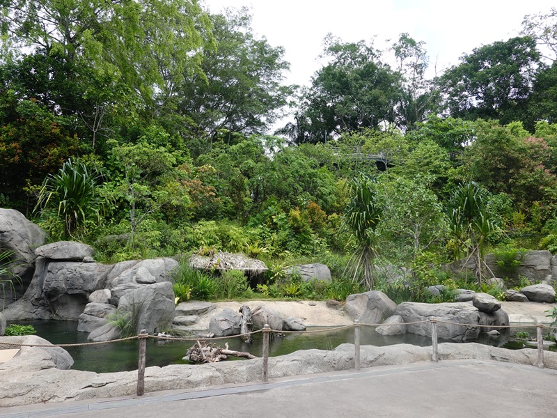 Rainforest Wild Asia : Entrance Gorge - terrapin and arowana enclosure