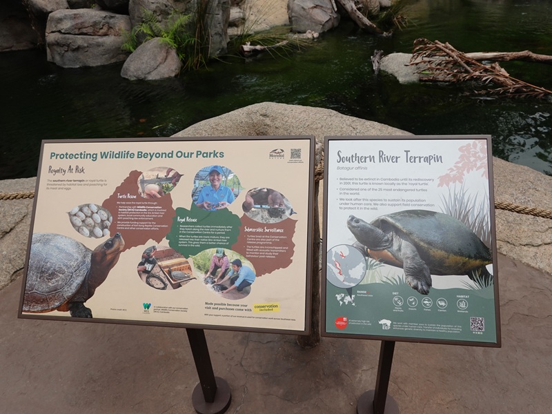Rainforest Wild Asia : Entrance Gorge - terrapin educational sign