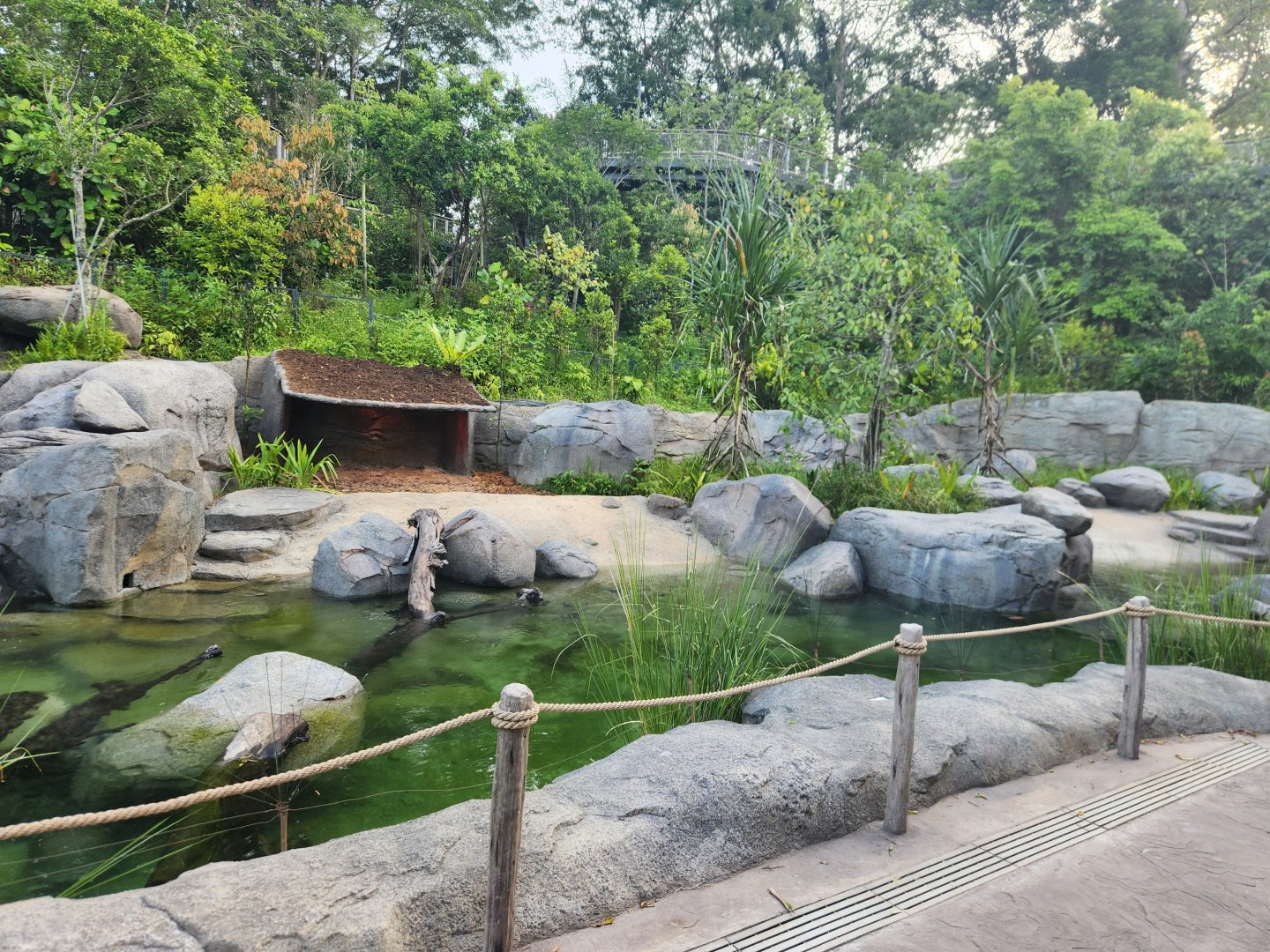 Rainforest Wild Asia- Entrance Gorge