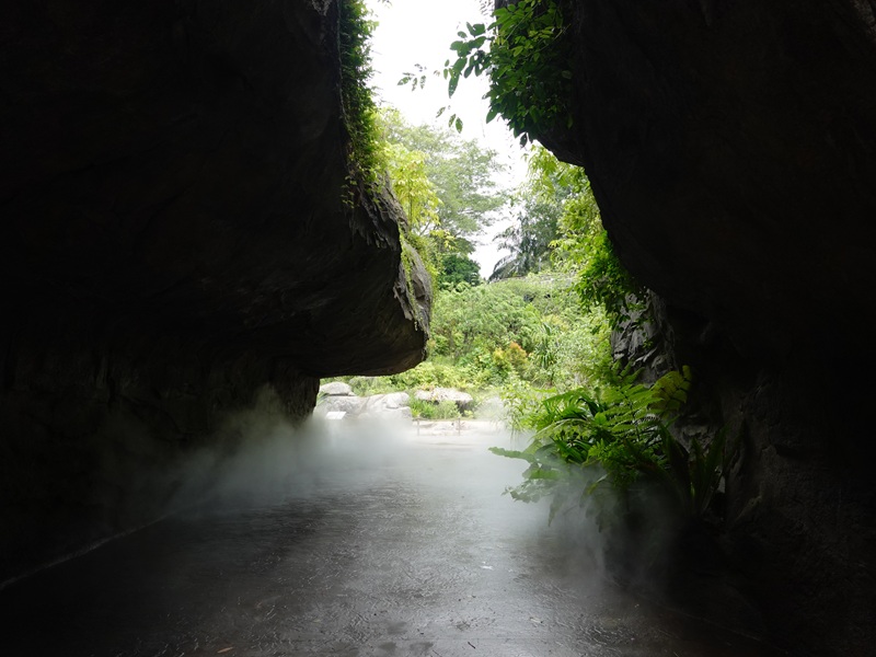 Rainforest Wild Asia : Entrance Gorge