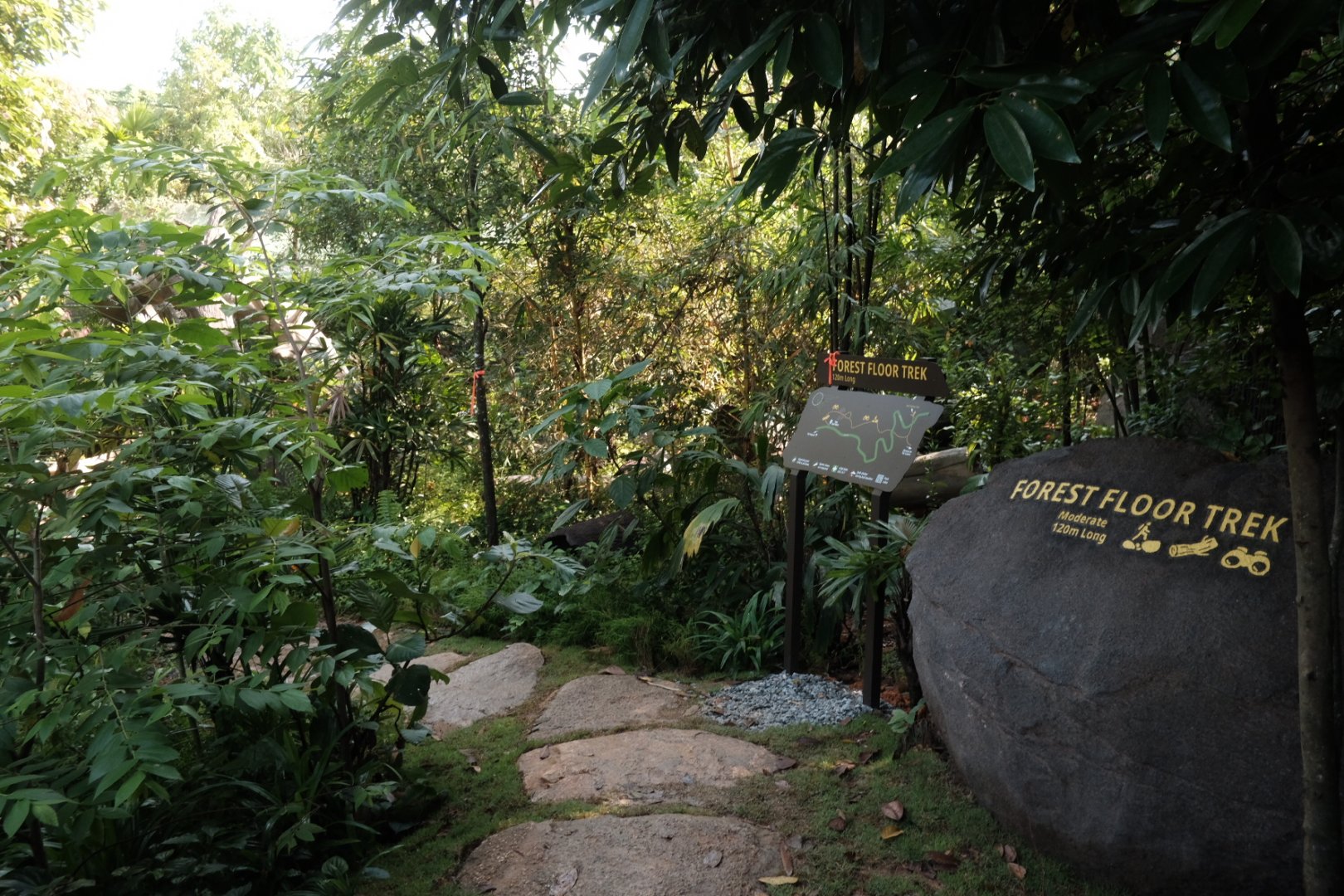 Rainforest Wild Asia - Entrance to Forest Floor Trek