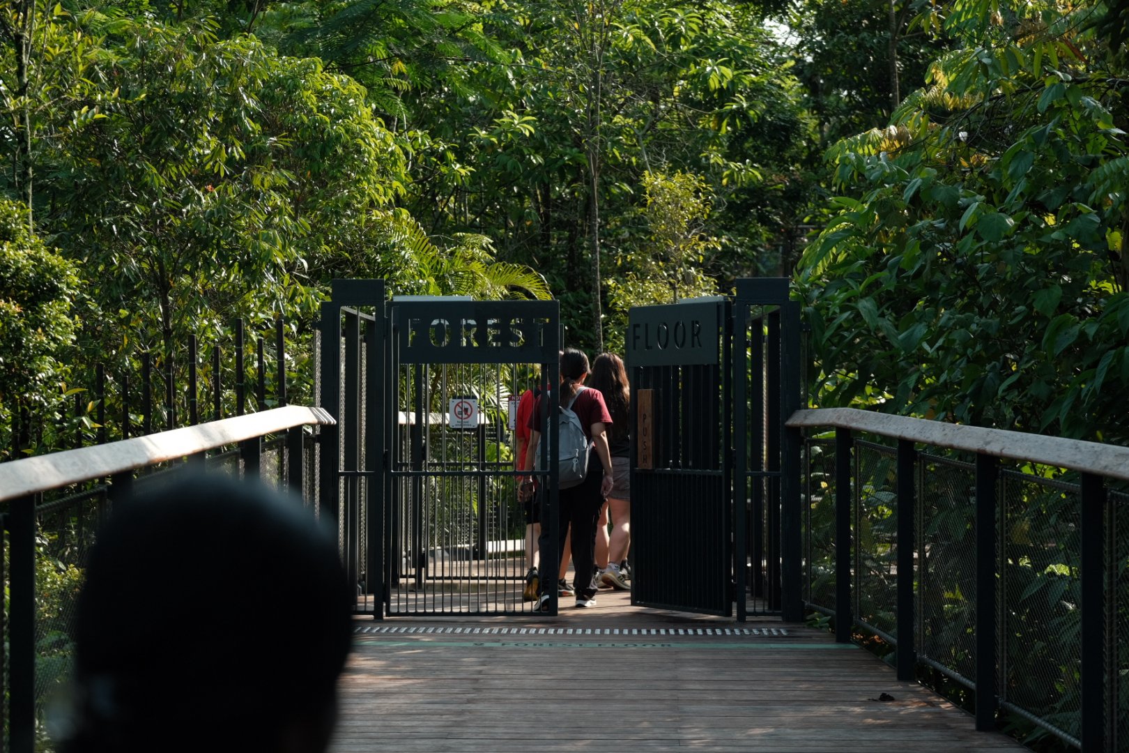 Rainforest Wild Asia - Entrance to the Forest Floor area
