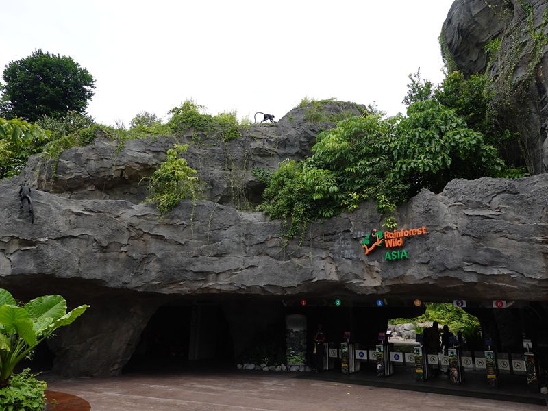 Rainforest Wild Asia : Entrance