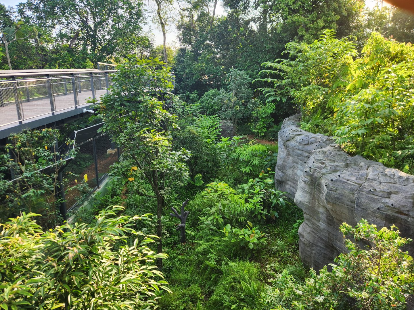 Rainforest Wild Asia- Flexi habitat