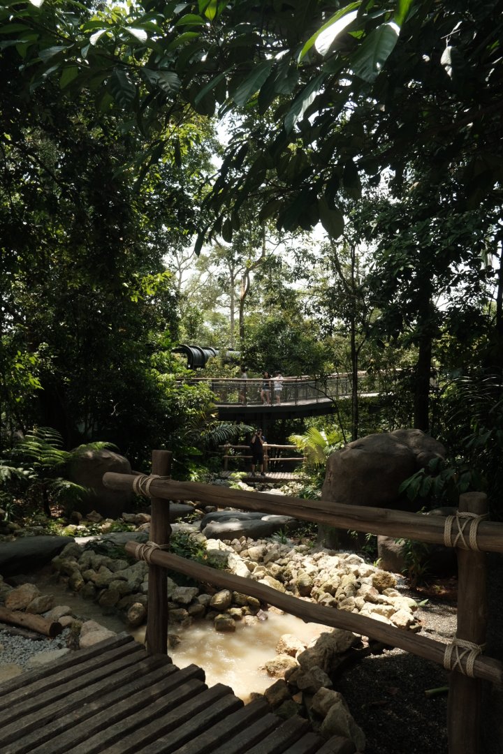 Rainforest Wild Asia - Forest Trek