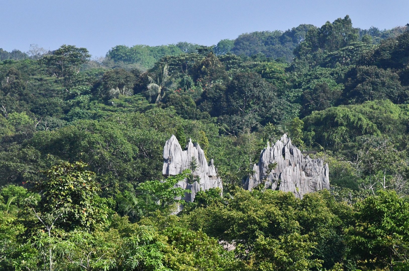 Rainforest Wild Asia - Limestone Pinnacles (under construction)