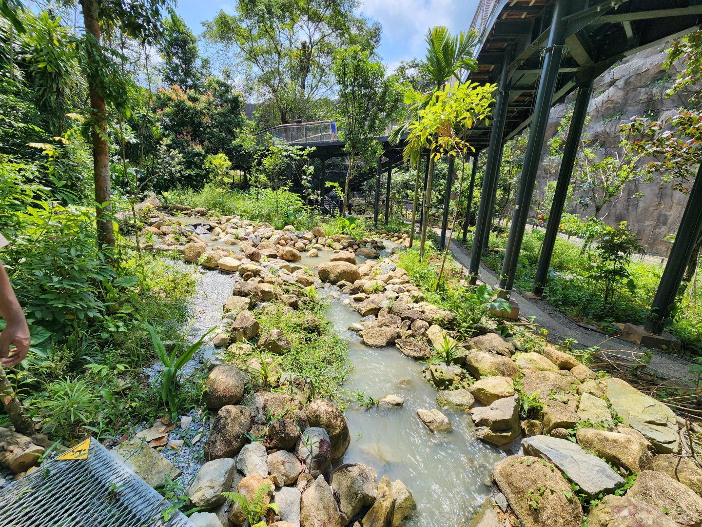 Rainforest Wild Asia- Lower stream trail