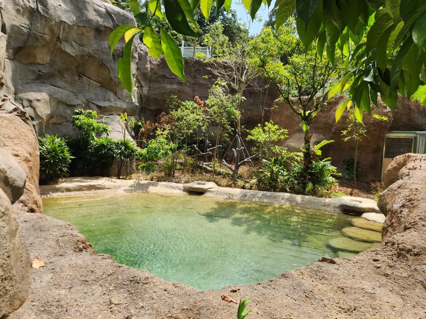 Rainforest Wild Asia- Malayan Tapir 2