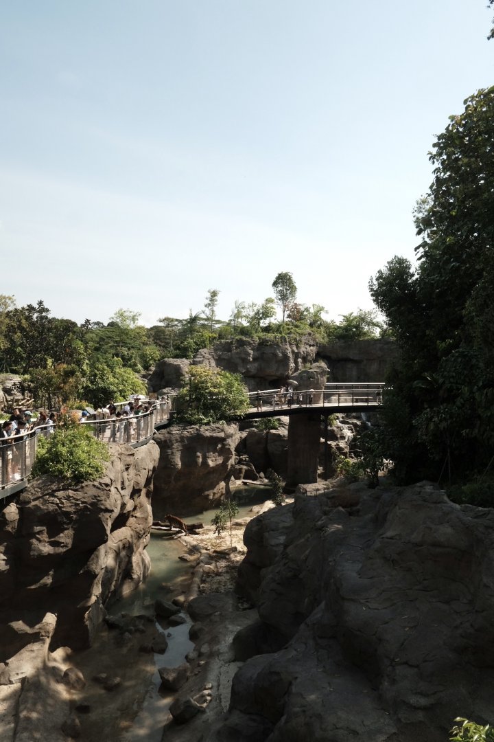 Rainforest Wild Asia - Malayan Tiger Exhibit