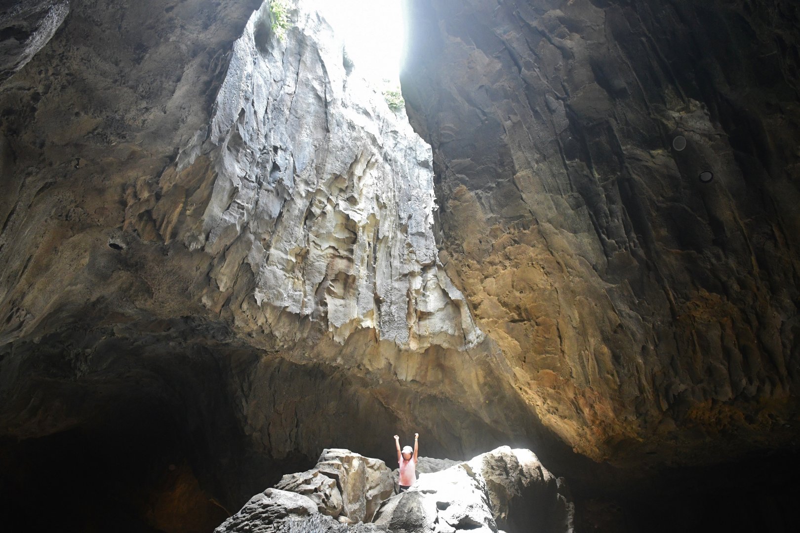 Rainforest Wild Asia - Oculus