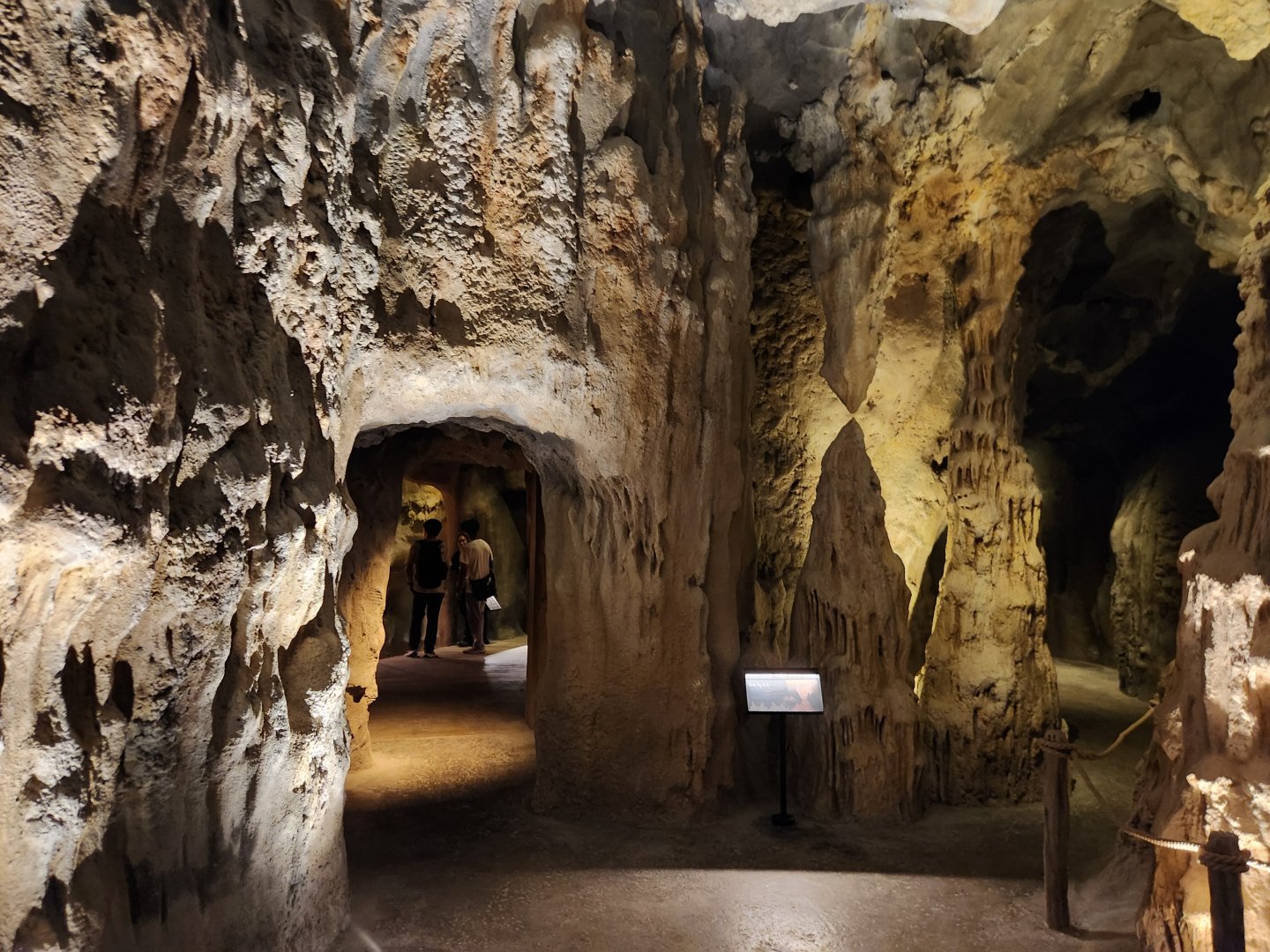 Rainforest Wild Asia- Quiet zone 2