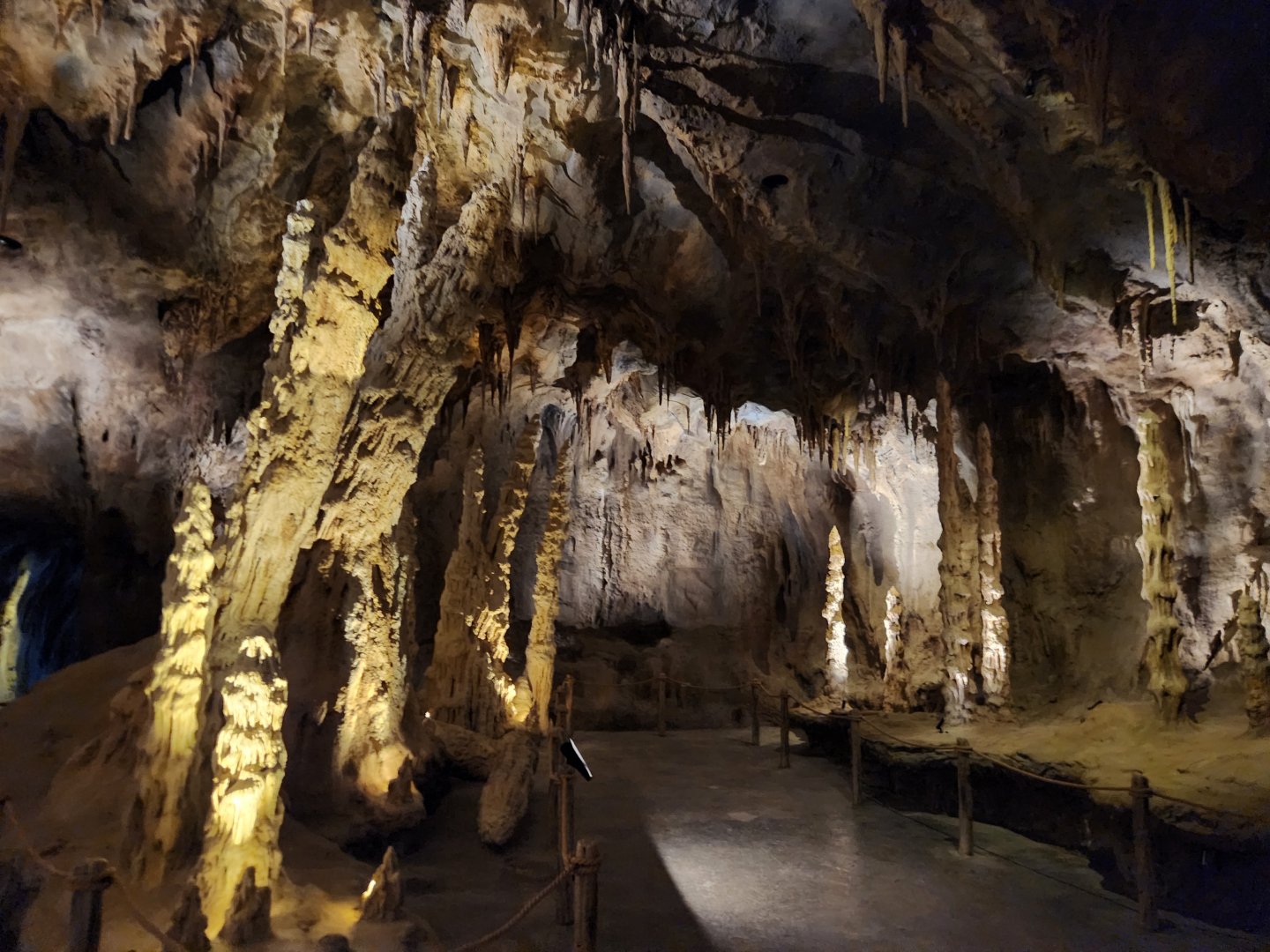 Rainforest Wild Asia- Quiet zone 2