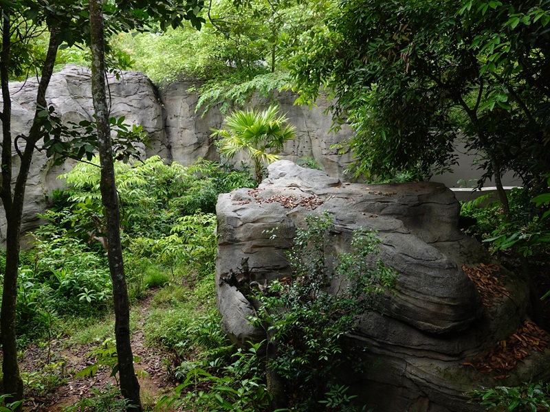 Rainforest Wild Asia: Rock Cascade - Rotational Enclosure #1