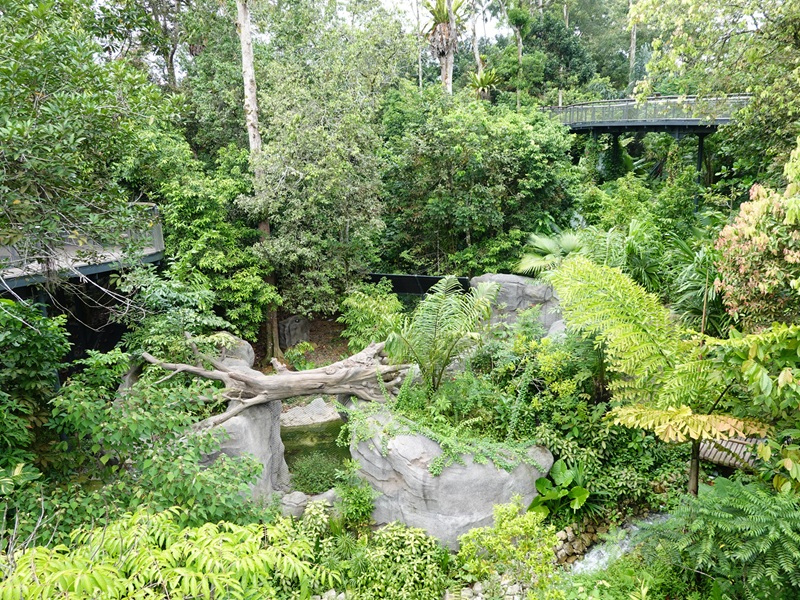 Rainforest Wild Asia: Rock Cascade - Rotational Enclosure #2 (empty)