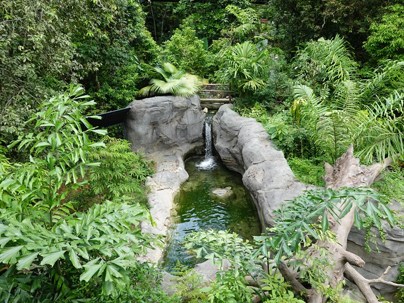 Rainforest Wild Asia: Rock Cascade - Rotational Enclosure #2 (empty)
