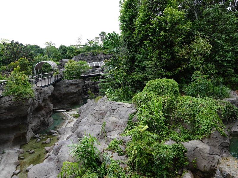 Rainforest Wild Asia: Rock Cascade - Tiger enclosure