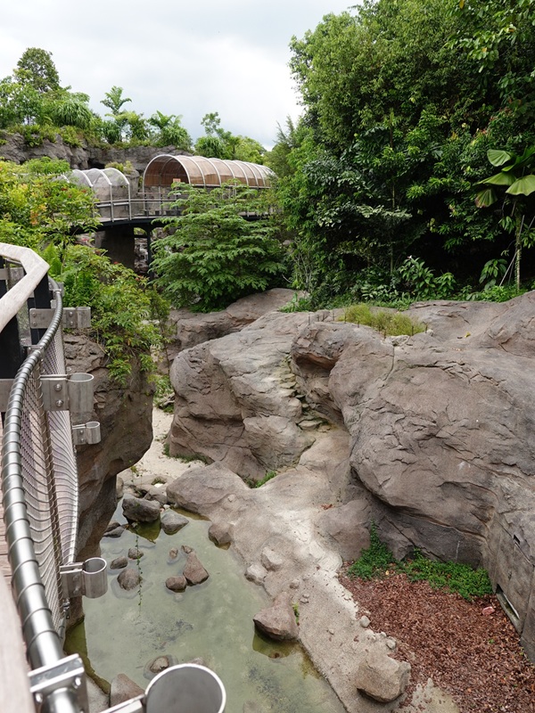 Rainforest Wild Asia: Rock Cascade - Tiger enclosure