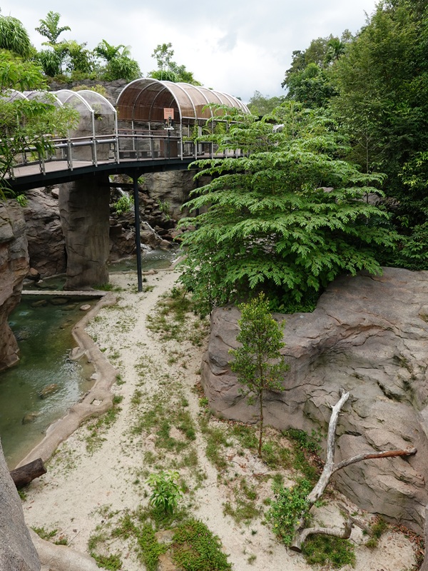 Rainforest Wild Asia: Rock Cascade - Tiger enclosure