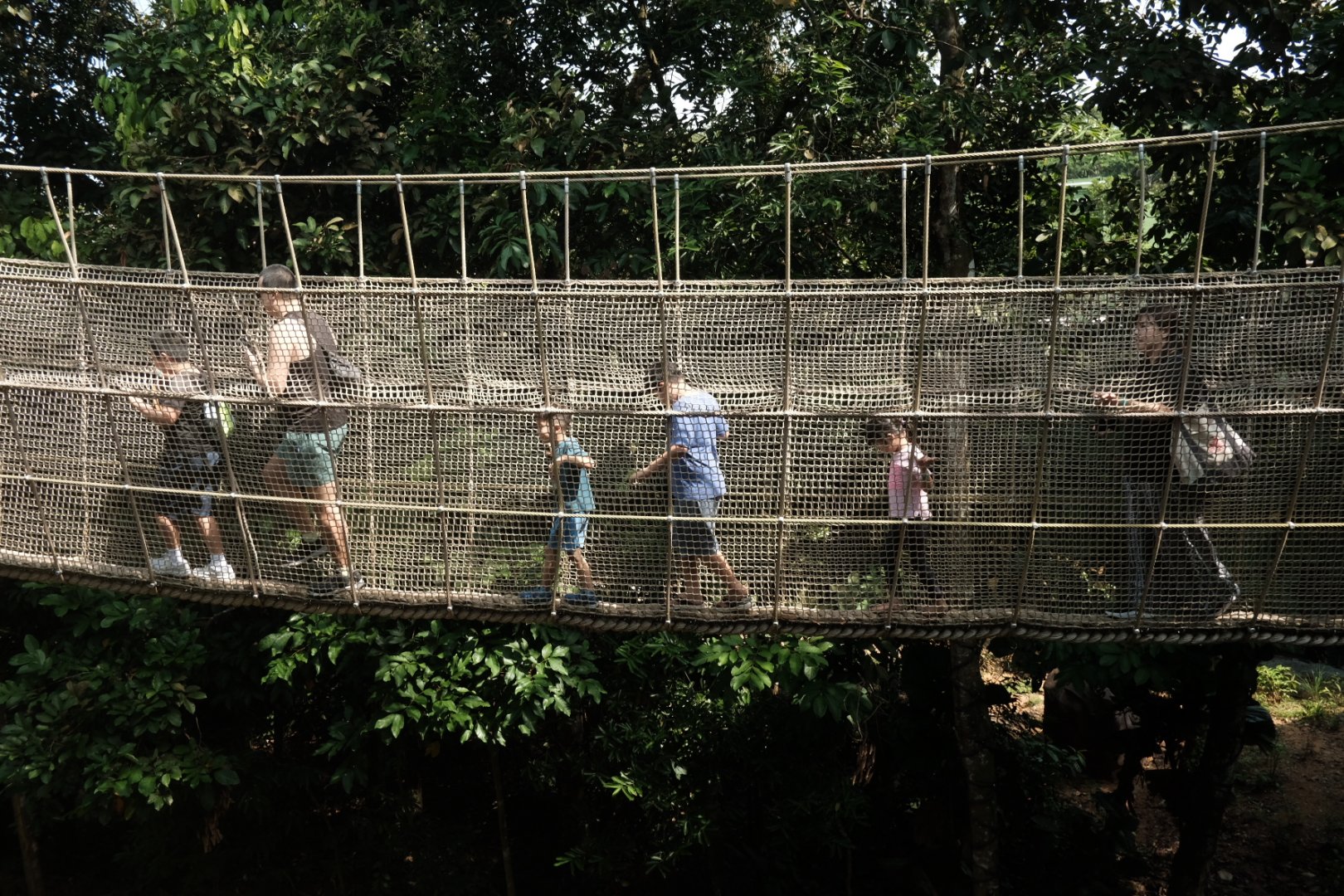 Rainforest Wild Asia - Rope Suspension Bridge