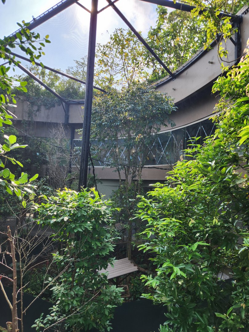 Rainforest Wild Asia- Sentinel foodhall aviary