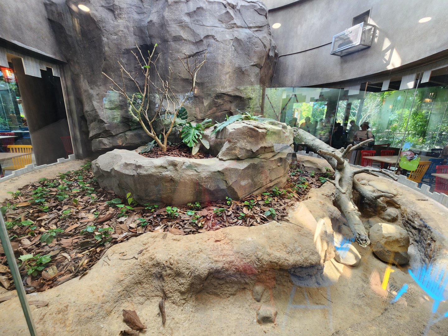 Rainforest Wild Asia- Sentinel foodhall exhibit