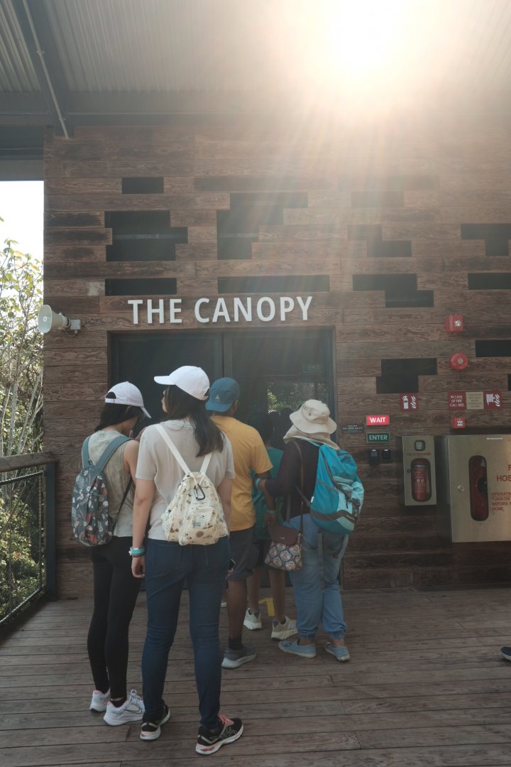 Rainforest Wild Asia - The Canopy Entrance