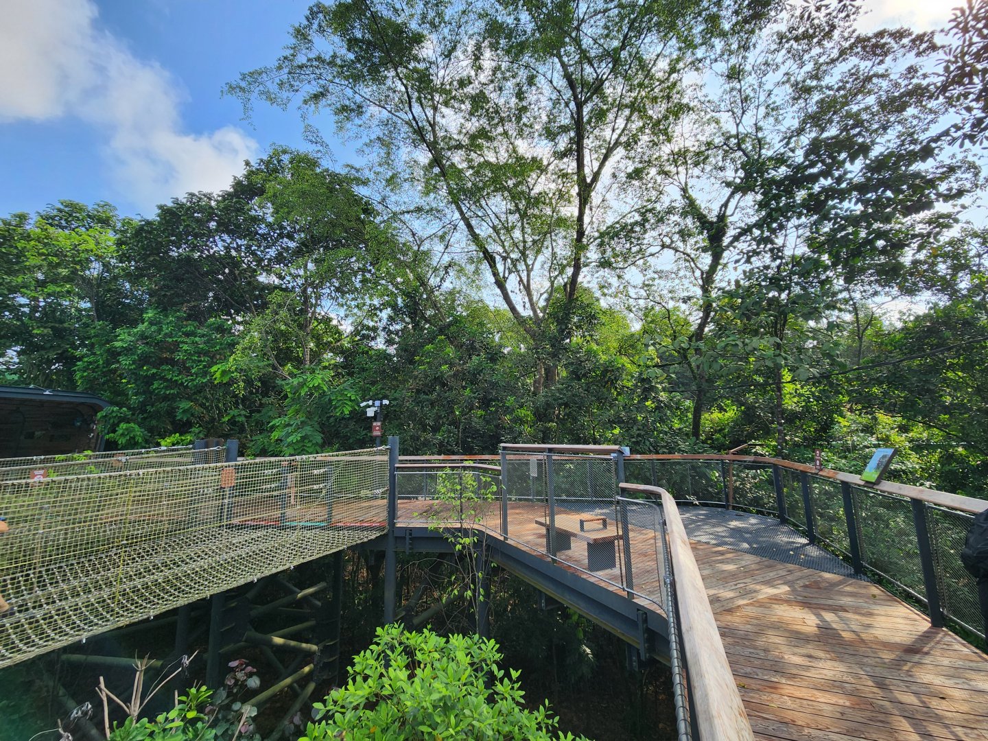 Rainforest Wild Asia- The Canopy
