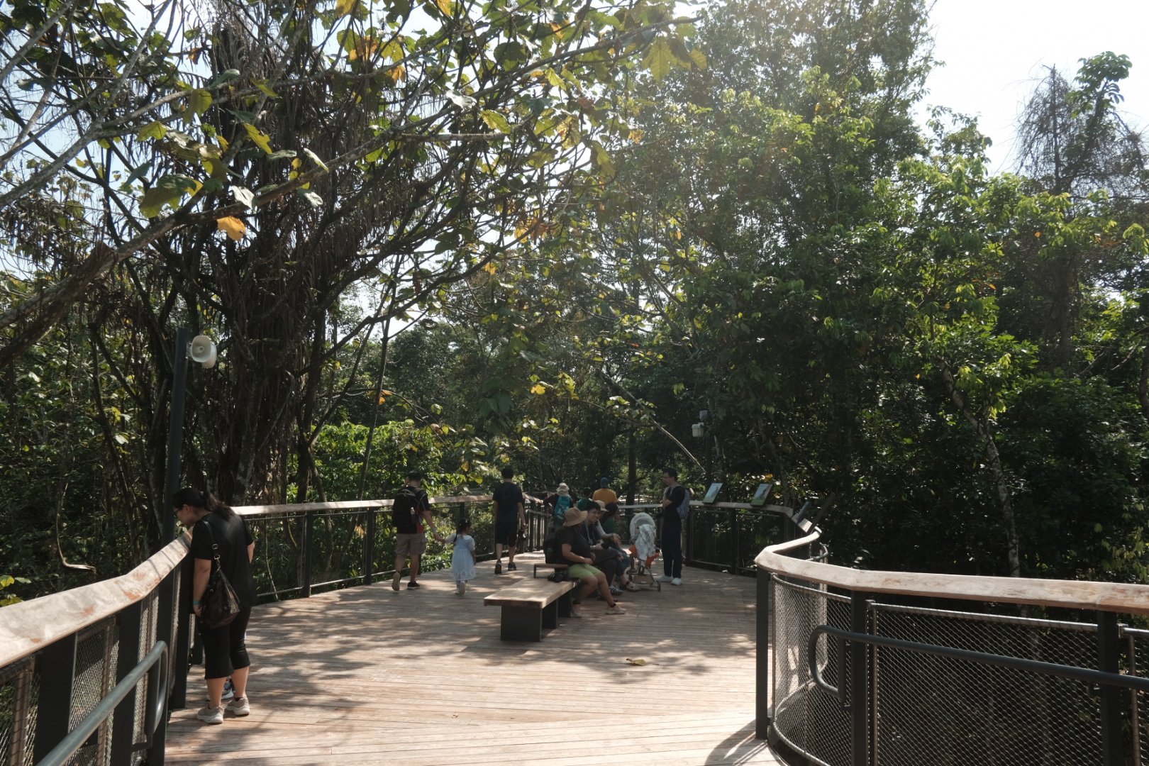 Rainforest Wild Asia - The Canopy