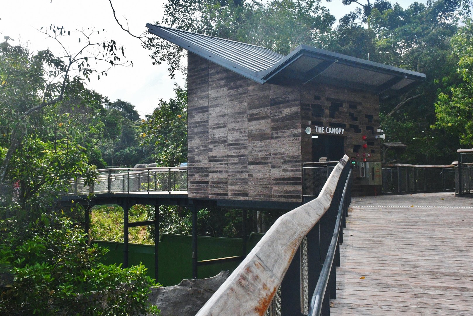 Rainforest Wild Asia - The Canopy