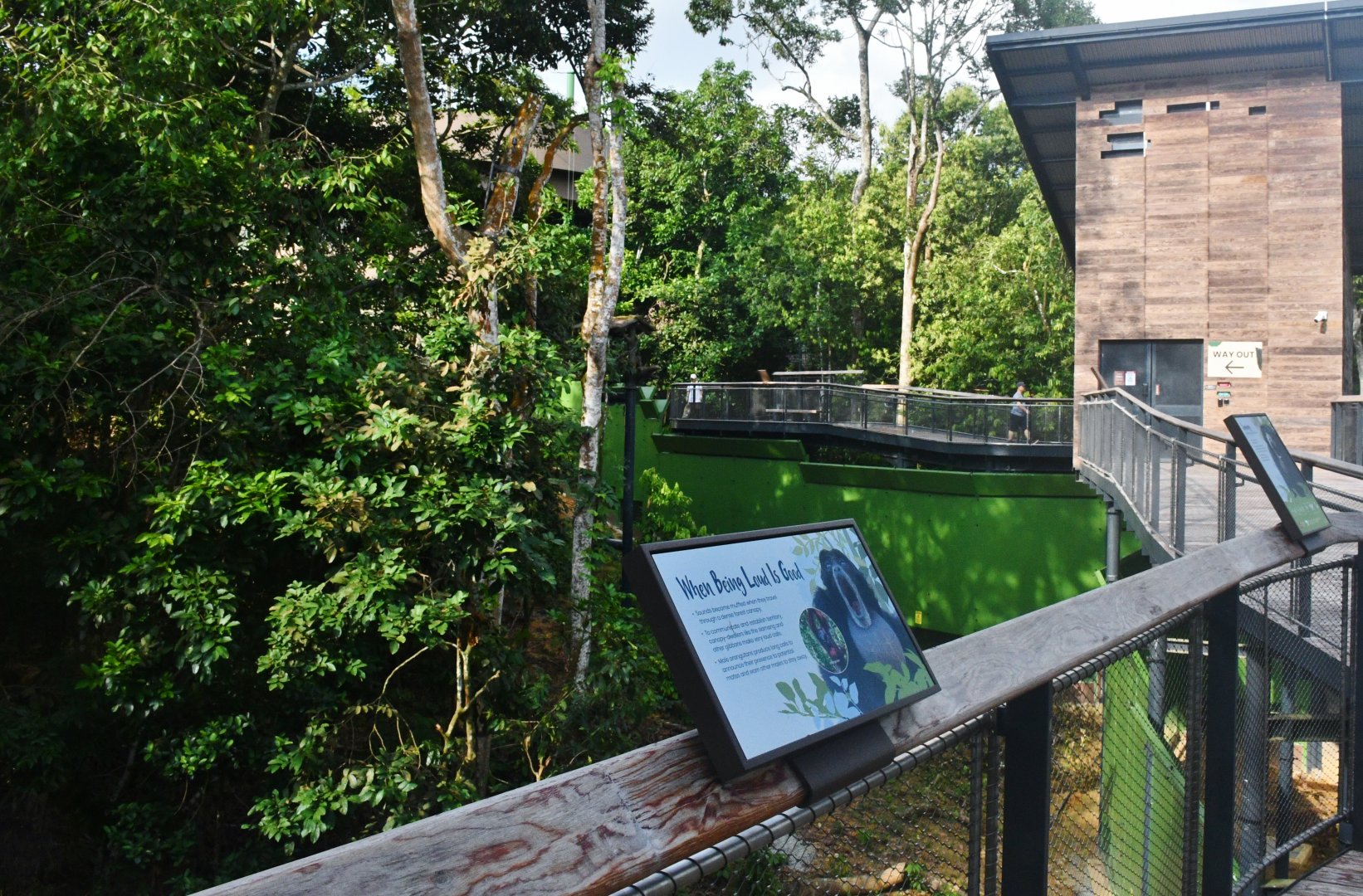 Rainforest Wild Asia - The Canopy