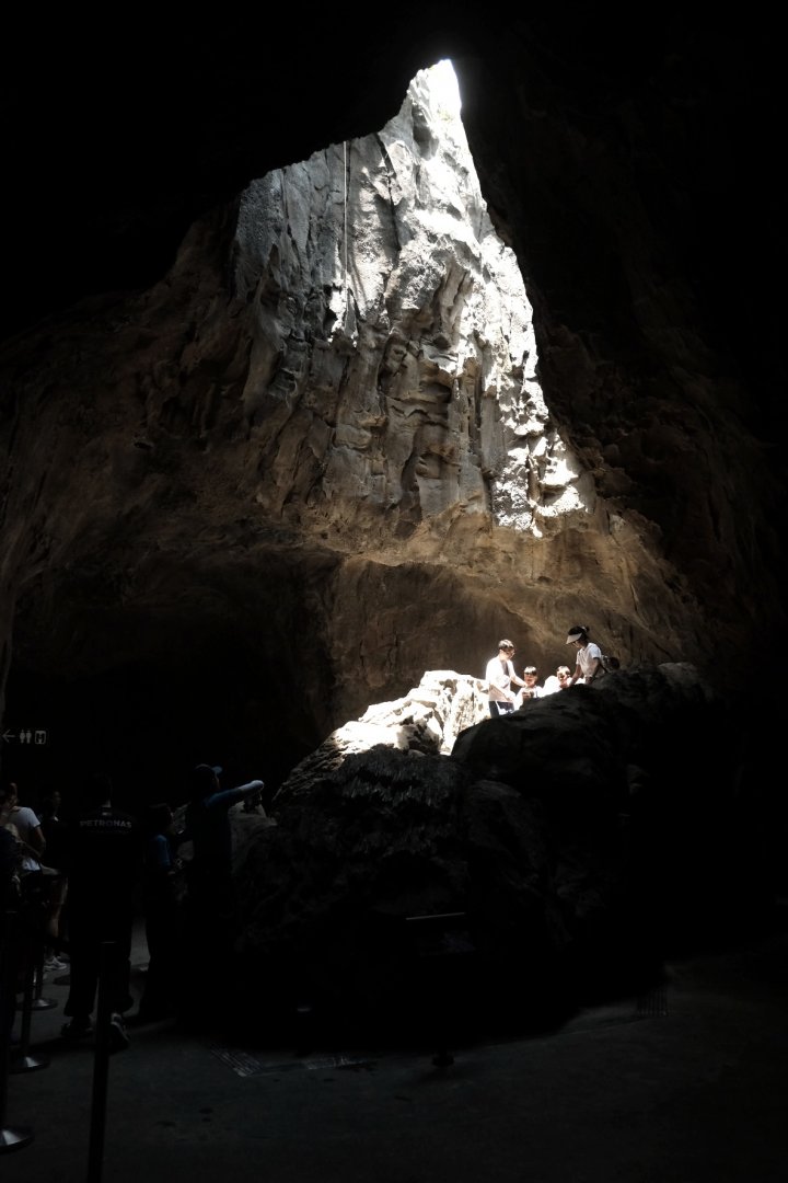 Rainforest Wild Asia - The Cavern - Oculus Spot
