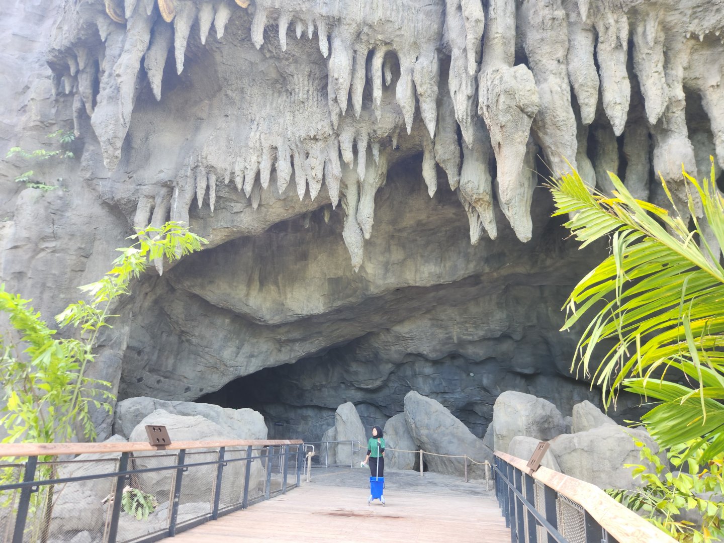 Rainforest Wild Asia- The Cavern