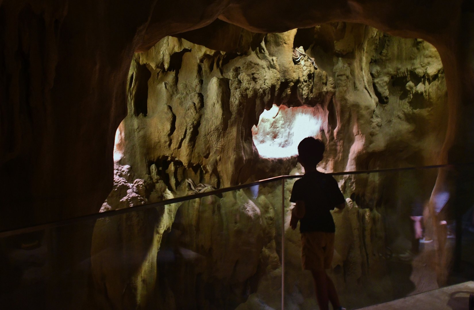 Rainforest Wild Asia - The Cavern