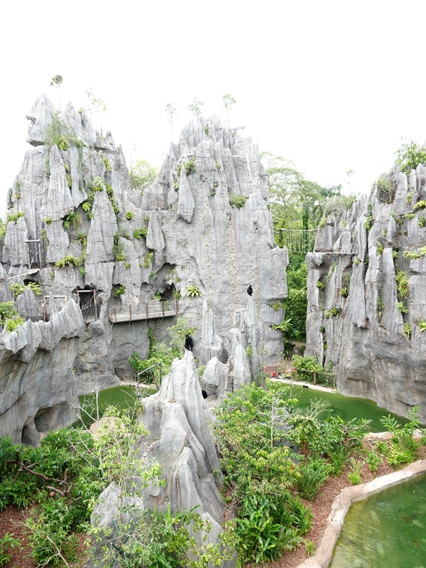 Rainforest Wild Asia : The Karsts - Francois langur enclosure