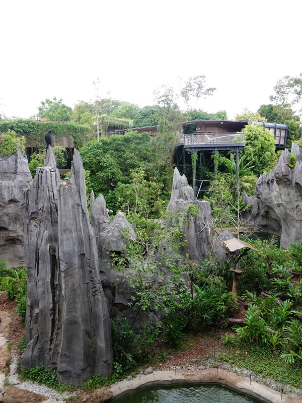 Rainforest Wild Asia : The Karsts - Francois langur enclosure