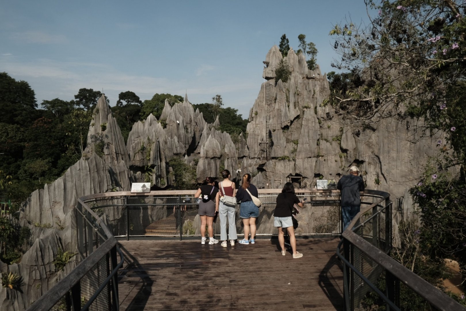 Rainforest Wild Asia - The Karsts Observation Deck