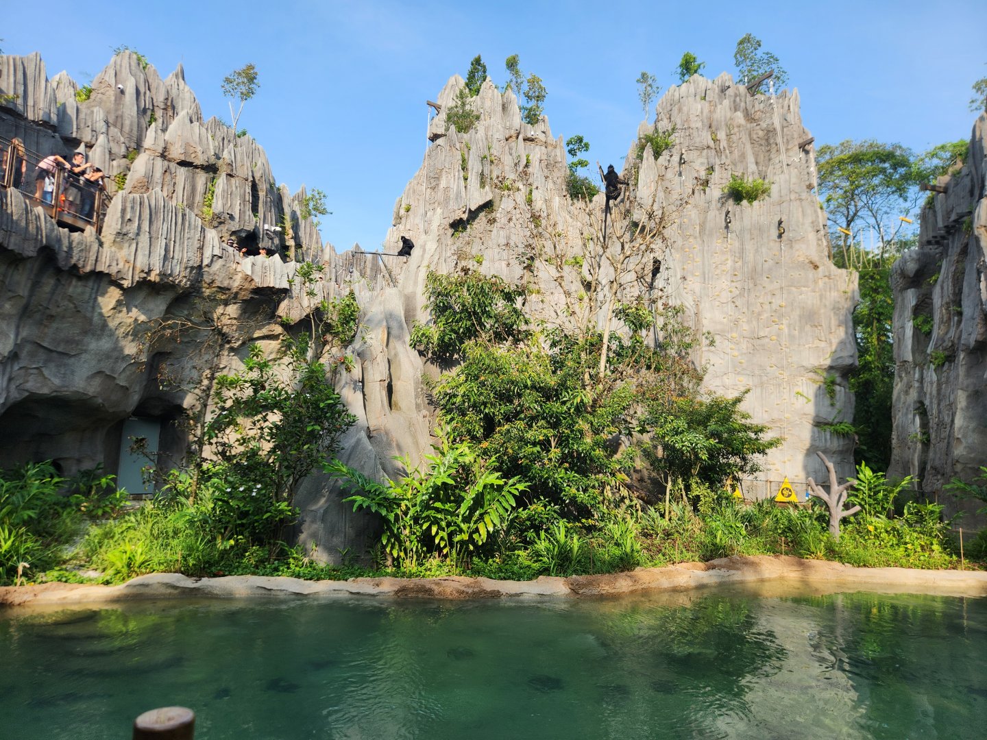 Rainforest Wild Asia- The Karsts